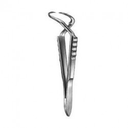 PINZA CAMPO JONES