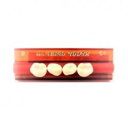 DIENTES BAMBINO TOOTH 61...