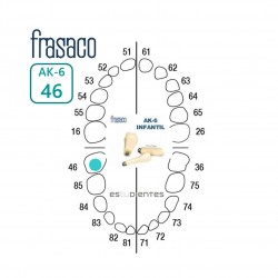 DIENTE AK-6 Nº 46 TIPODONTO...
