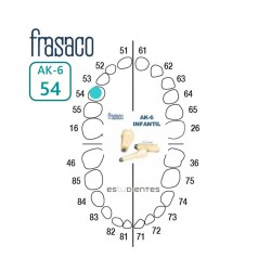 DIENTE AK-6 Nº 54 TIPODONTO...