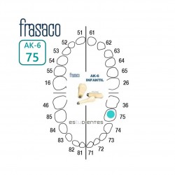 DIENTE AK-6 Nº 75 TIPODONTO...