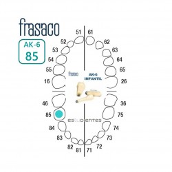 DIENTE AK-6 Nº 85 TIPODONTO...